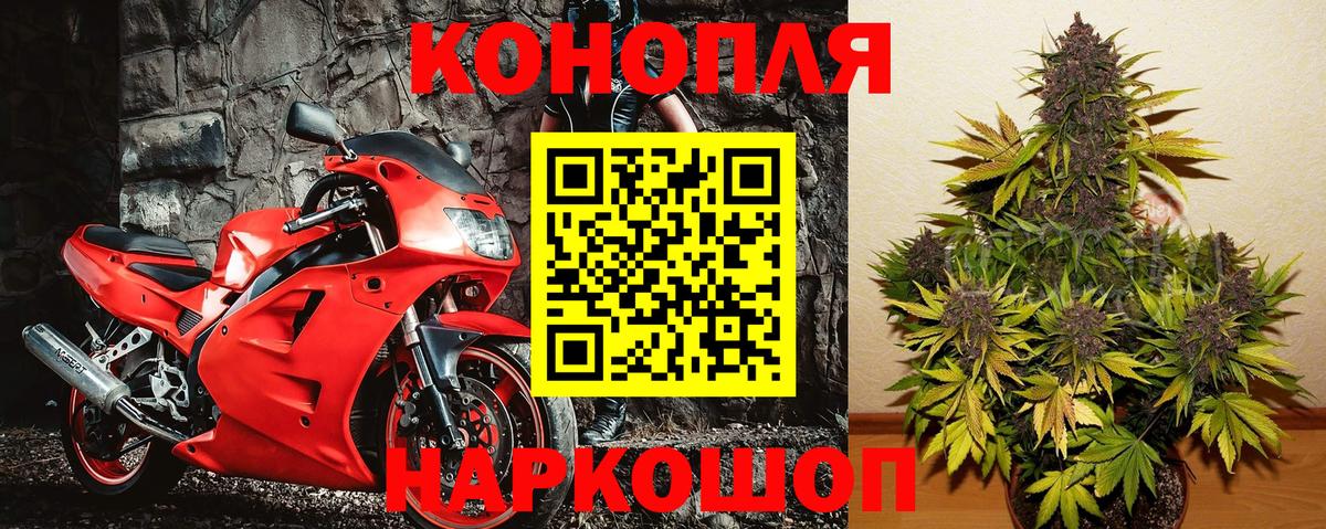 Бошки марихуана план  Каннабис тримм  Заволжье  Марихуана OG Kush  Бошки Шишки тримм  Вход с VPN 